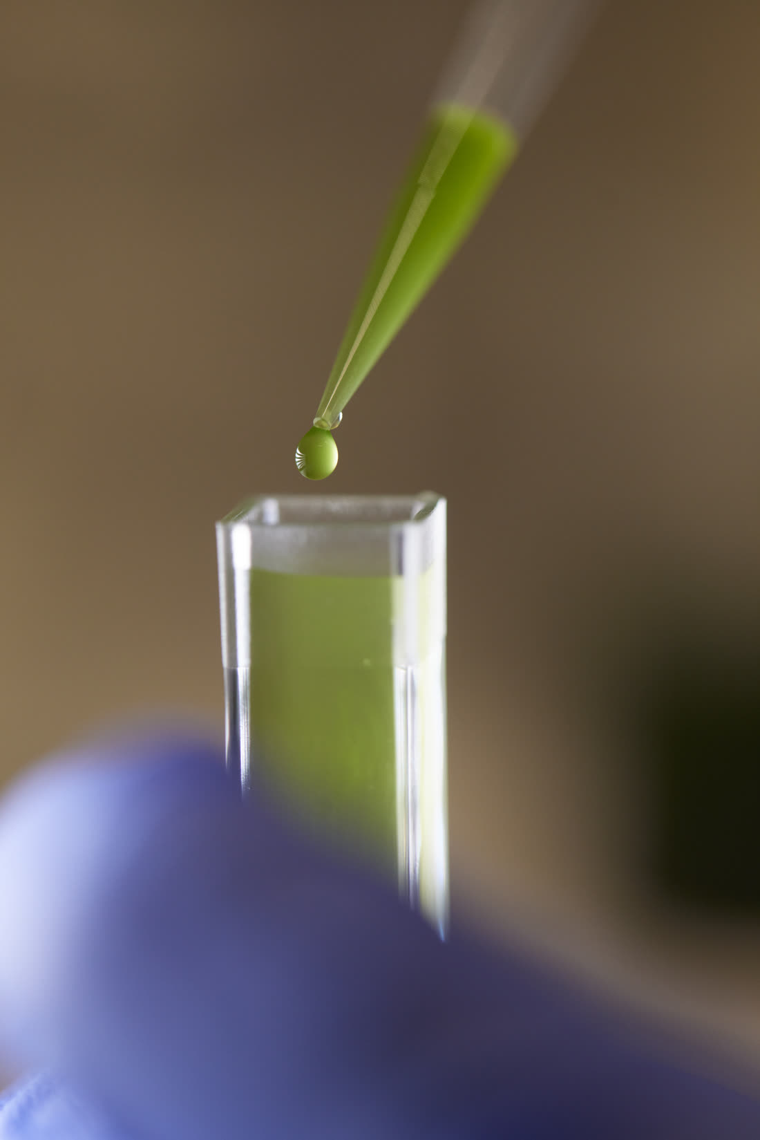 Mikroalgen-Probe — Pipettierung im Labor