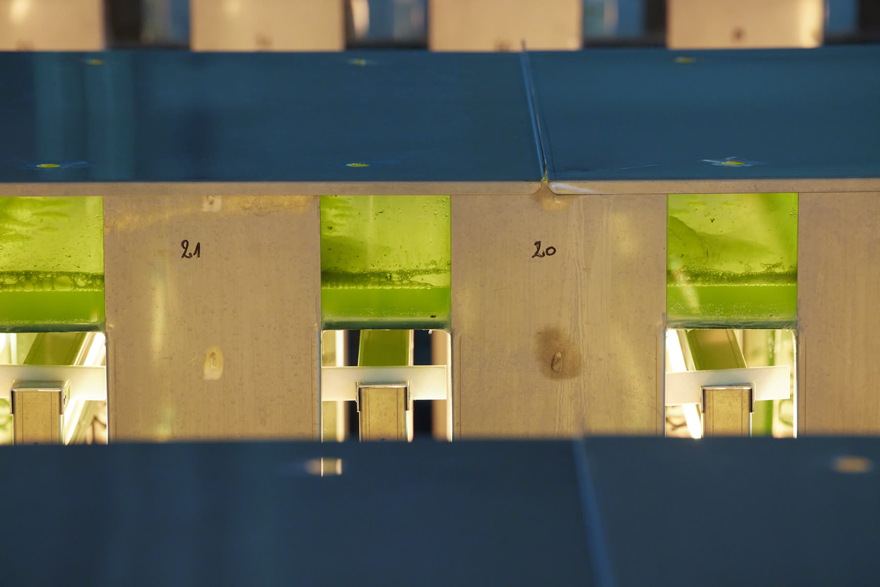 Photobioreaktor-Module mit aktiver Mikroalgenkultur — Linien 20 und 21